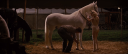RWA0039.PNG