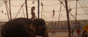 RWA1567.PNG